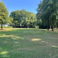 Grüne Wiesen umgeben von hohen Bäumen unter strahlend blauem Himmel im Bürgerpark.