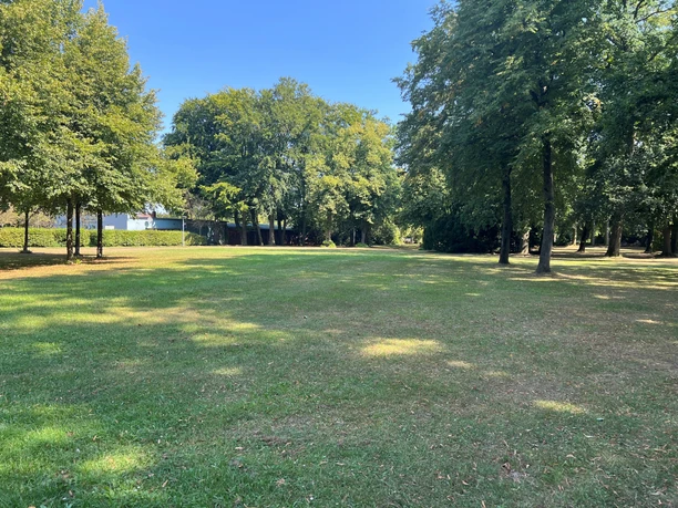 Grüne Wiesen umgeben von hohen Bäumen unter strahlend blauem Himmel im Bürgerpark.