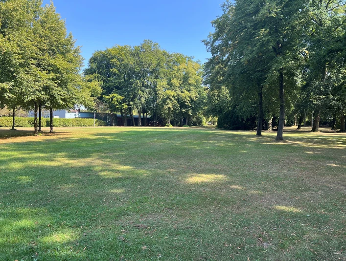 Grüne Wiesen umgeben von hohen Bäumen unter strahlend blauem Himmel im Bürgerpark.