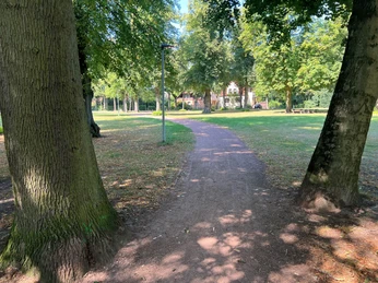 Ein schattiger Pfad führt zwischen alten Bäumen hindurch, in einem grünen Park an einem sonnigen Tag.