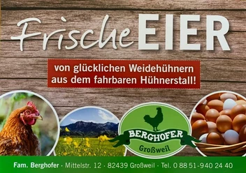 Berghofer_Logo.jpg