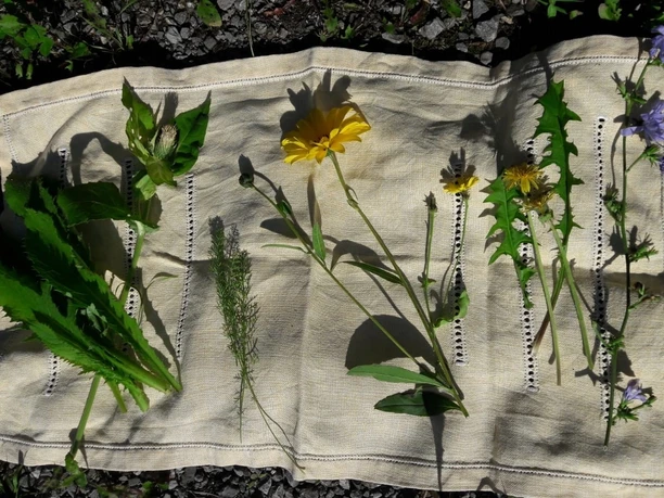 viel gesundes und gluschtiges