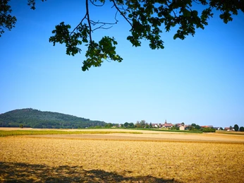 Altenburg bei Römersberg_Gemeinde Neuental