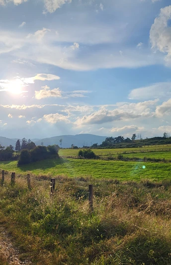 Durch die Gelänge in Medebach