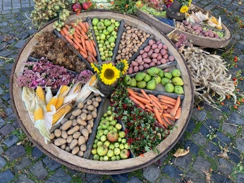 4.jpg Erntekorb gefüllt mit farbenfrohem Obst, Gemüse, Getreide und einer Sonnenblume auf Kopfsteinpflaster.