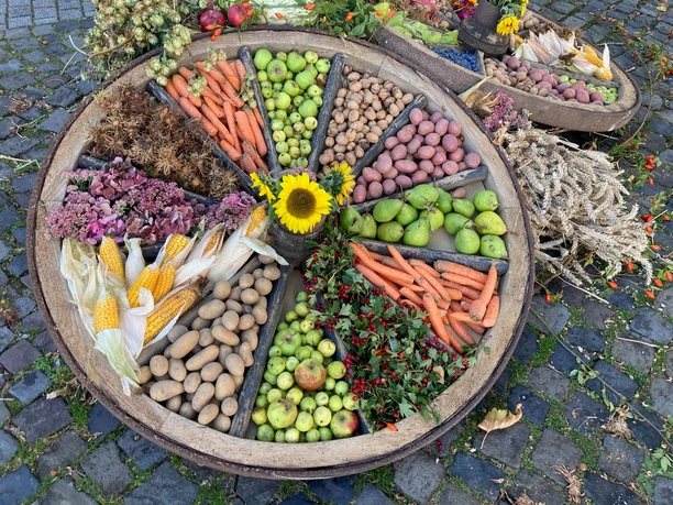 4.jpg Erntekorb gefüllt mit farbenfrohem Obst, Gemüse, Getreide und einer Sonnenblume auf Kopfsteinpflaster.