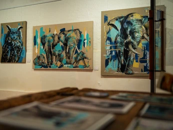 Hofladen Schloss Staufenberg_Foto 15 07 24 13 24 46 2 klein