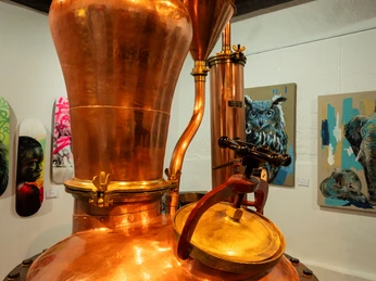 Hofladen Schloss Staufenberg_Foto 15 07 24 13 24 46 4 klein