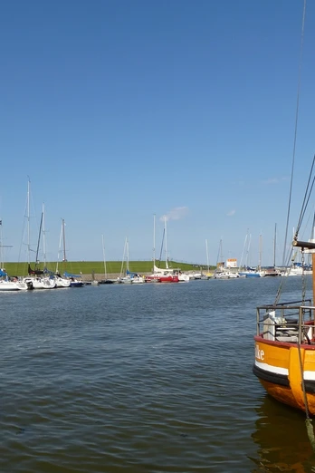 Fischkutter im Hafen von Horumersiel