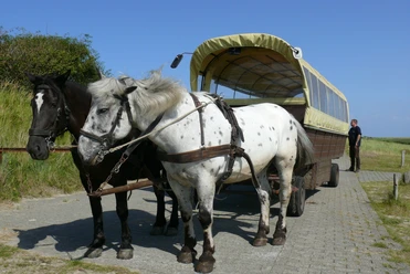 Ausflug in den Wilden Juister Westen - Ausflugsfahrt.JPG Ausflug in den Wilden Juister Westen - Ausflugsfahrt