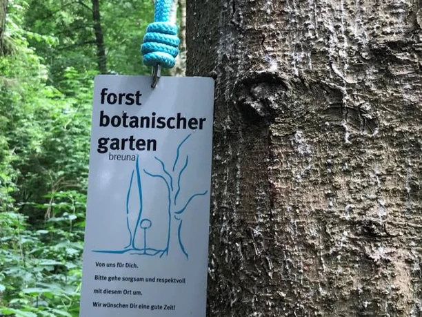 Infotafel nah forstbotanischer Garten