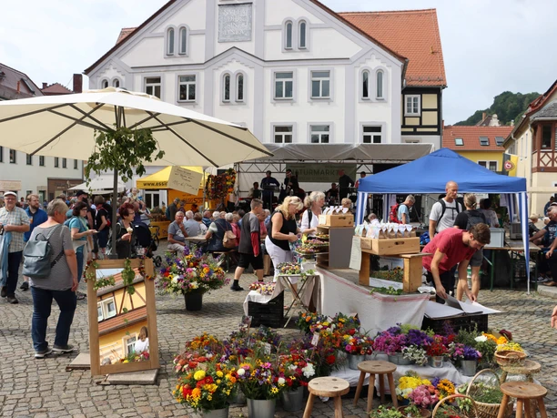 Wehlen Naturmarkt