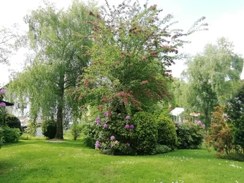 Blick in der Garten 2