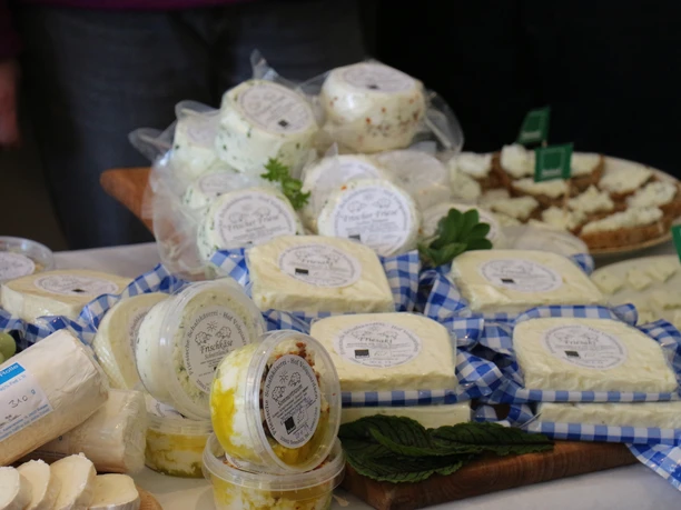 eiderstedt-tetenbuell-friesischeschafskaeserei-c-tzspo-6