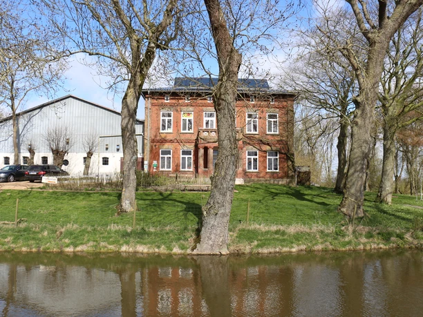 eiderstedt-tetenbuell-friesischeschafskaeserei-c-tzspo-2
