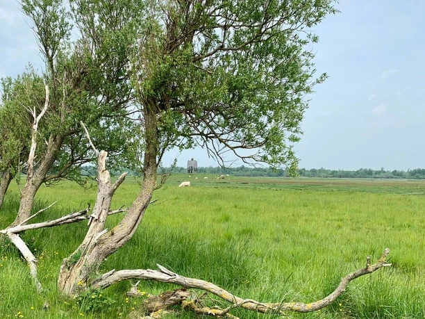 Eiderstedt-Katinger Watt-Vogelbeobachtungsturm-c-TZSPO-4 09.46.51