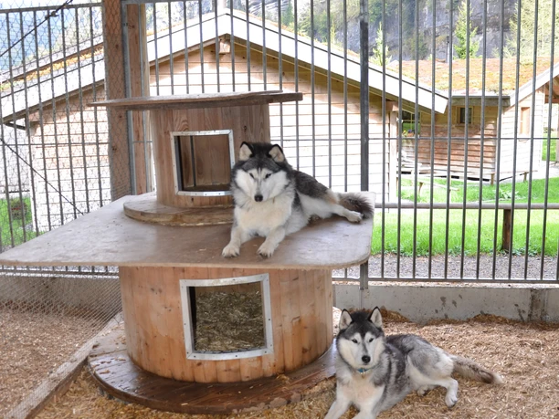 hüttenhotel-husky-lodge-gastronomiebetriebe-erlebnisregion-mythen_2.jpg