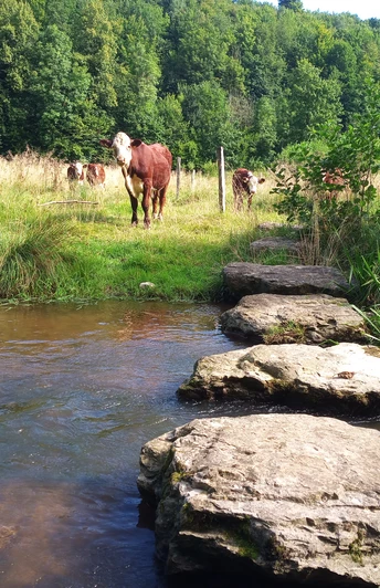 Spannende Begegnungen mit den ,,Landschaftspflegern"