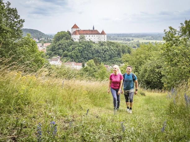 Wanderer auf der Lerchenhaube bei Wörth a.d. Donau Zwei Wandernde auf Wiesenpfad mit Blick auf eine Burg über einer bewaldeten Anhöhe