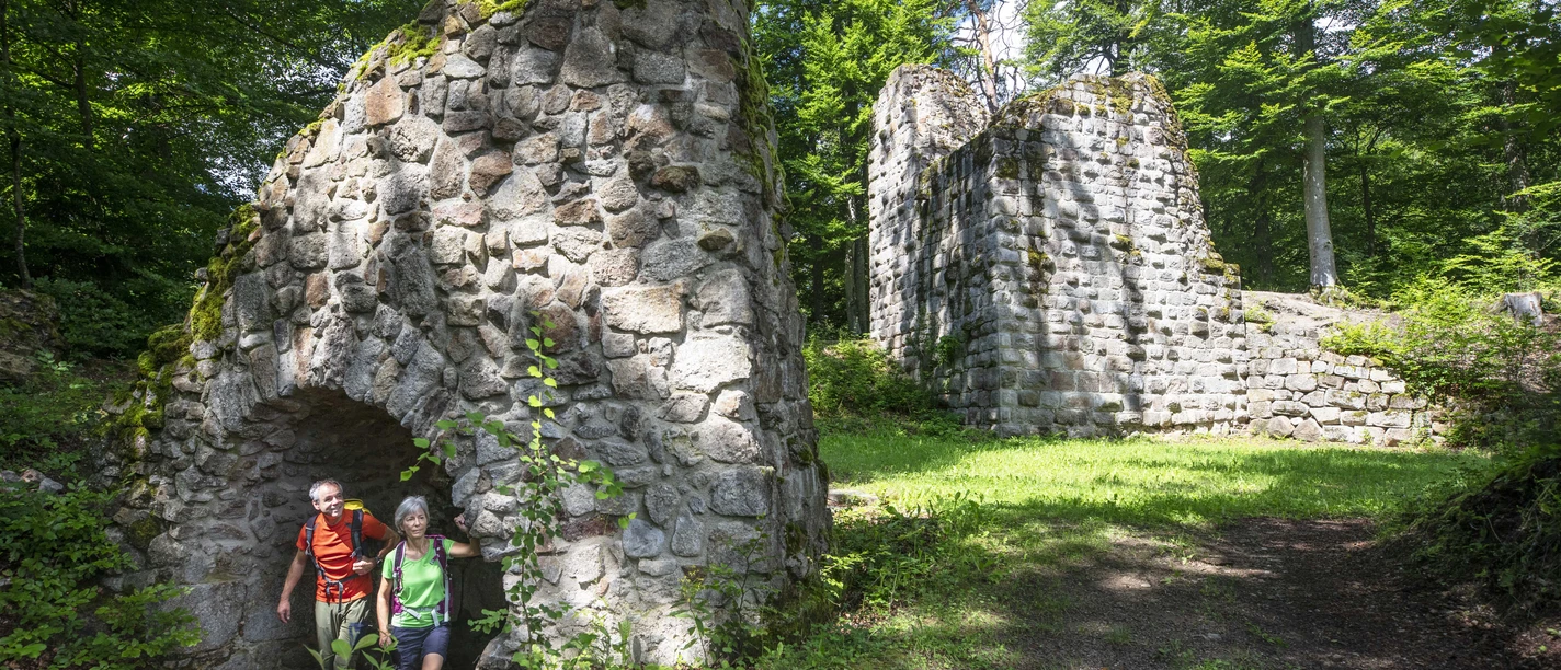 Die Burgruine Heilsberg liegt eingebettet in die Natur mitten in einem Waldstück und ist eine schöne Kulisse für Entdeckungstouren. Die Burgruine Heilsberg