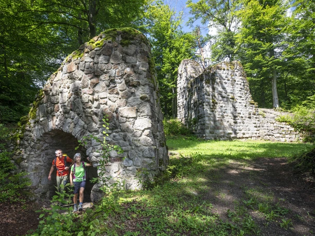 Die Burgruine Heilsberg liegt eingebettet in die Natur mitten in einem Waldstück und ist eine schöne Kulisse für Entdeckungstouren. Die Burgruine Heilsberg