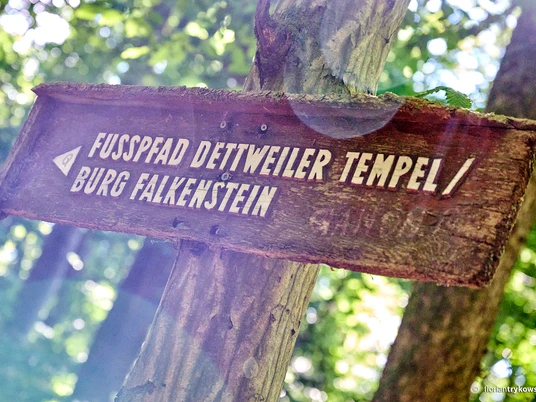 Auf dem Burghain zum Dettweiler Tempel Wegweiser aus Holz zum Dettweiler Tempel