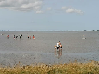 Wattenlaufen