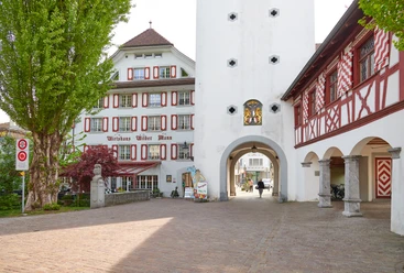 Wirtshaus Wilder Mann Sursee