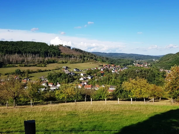 Beringhausen