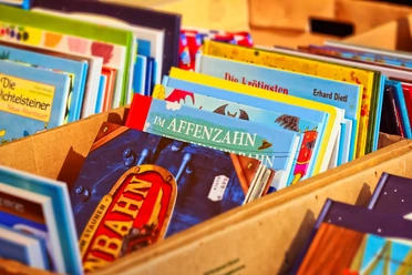 Eine Sammlung von Kinderbüchern liegt ordentlich sortiert in mehreren offenen Holzkisten aus.