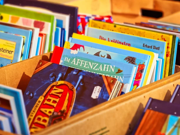 Eine Sammlung von Kinderbüchern liegt ordentlich sortiert in mehreren offenen Holzkisten aus.