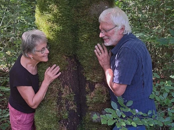 Ursprung des Waldbadens Ursprung des Waldbadens