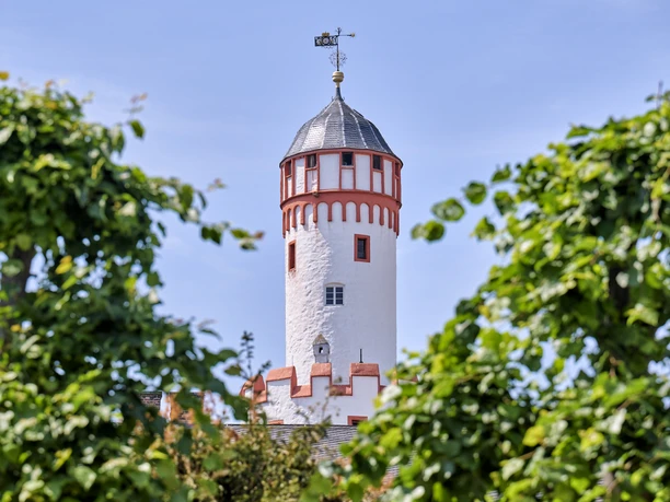 Schloss Bad Homburg