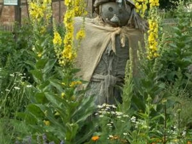 Forsthaus Friedrichshohenberg