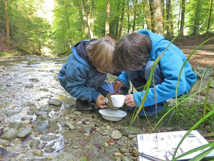 Den Lebensraum Quelle erforschen Zwei Kinder beugen sich über eine Tasse und untersuchen das QuellwasserTwo children bend over a cup and examine the spring waterDeux enfants se penchent sur une tasse et examinent l'eau de source