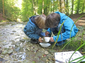 Exploring the spring habitat Two children bend over a cup and examine the spring water