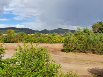 Dünenpfad im Teutoburger Wald mit Sandweg, umgeben von grünen Bäumen und hügeliger Landschaft.