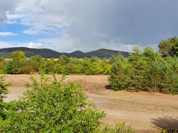 Teutoburger Wald-Dünenpfad-LTM GmbH-Linda Nasebandt Schwarz (5).jpg Dünenpfad im Teutoburger Wald mit Sandweg, umgeben von grünen Bäumen und hügeliger Landschaft.