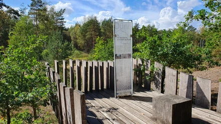 Teutoburger Wald-Dünenpfad-LTM GmbH-Linda Nasebandt Schwarz (2).jpg Holzplattform im Wald bietet Aussicht auf umliegende Bäume und Informationstafel über Dünenpfad.