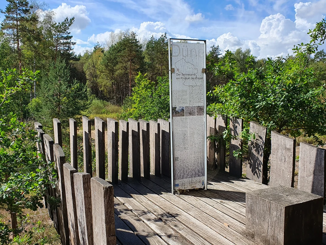 Teutoburger Wald-Dünenpfad-LTM GmbH-Linda Nasebandt Schwarz (2).jpg Holzplattform im Wald bietet Aussicht auf umliegende Bäume und Informationstafel über Dünenpfad.