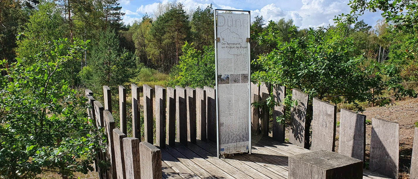 Teutoburger Wald-Dünenpfad-LTM GmbH-Linda Nasebandt Schwarz (2).jpg Holzplattform im Wald bietet Aussicht auf umliegende Bäume und Informationstafel über Dünenpfad.
