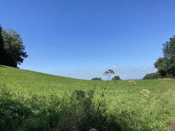 Wiese oberhalb von Grevenbrück 3.jpeg