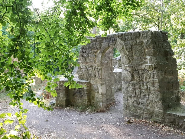 Asseburgruine.jpg
