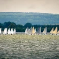 Segel Regatta am Dümmer-See