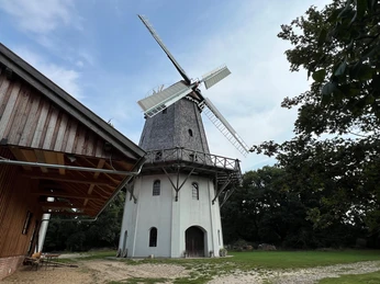 Windmühle Holtum (Geest) Klassische Windmühle mit weißem Turm und Holzverkleidung, umgeben von Bäumen und einem Nebengebäude.