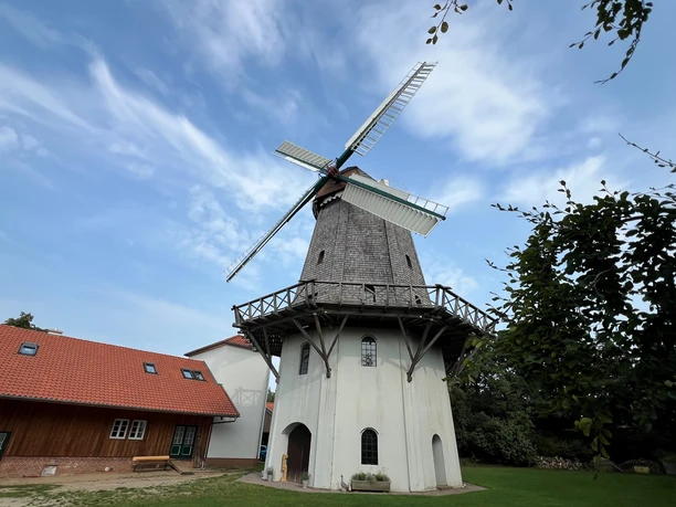 Windmühle Holtum (Geest) Historische Windmühle mit markanten Flügeln, umgeben von grüner Landschaft und blauem Himmel.