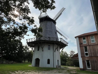 Windmühle Holtum (Geest) Historische Windmühle aus Holz und Stein, mit drehbaren Flügeln, umgeben von Bäumen im Tageslicht.