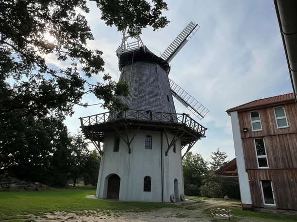 Windmühle Holtum (Geest) Historische Windmühle aus Holz und Stein, mit drehbaren Flügeln, umgeben von Bäumen im Tageslicht.