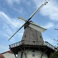 Windmühle Holtum (Geest) Historische Windmühle mit hölzernem Rumpf und großen Flügeln unter blauem Himmel, flankiert von Gebäuden.