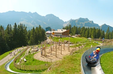 Globis Alpine playground and Ristis summer toboggan run.jpg